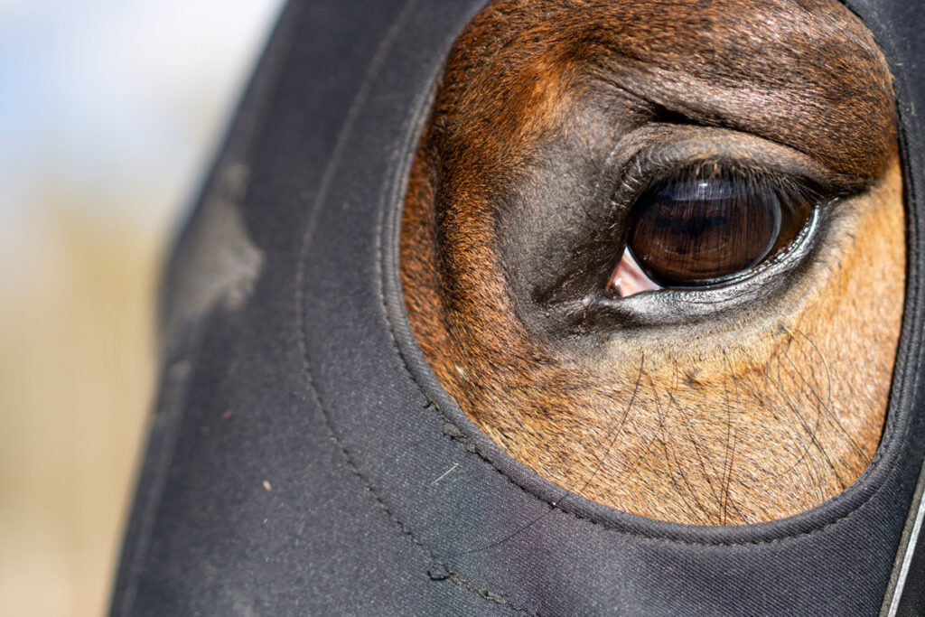DOPING JAKO KAŽDODENNÍ REALITA?