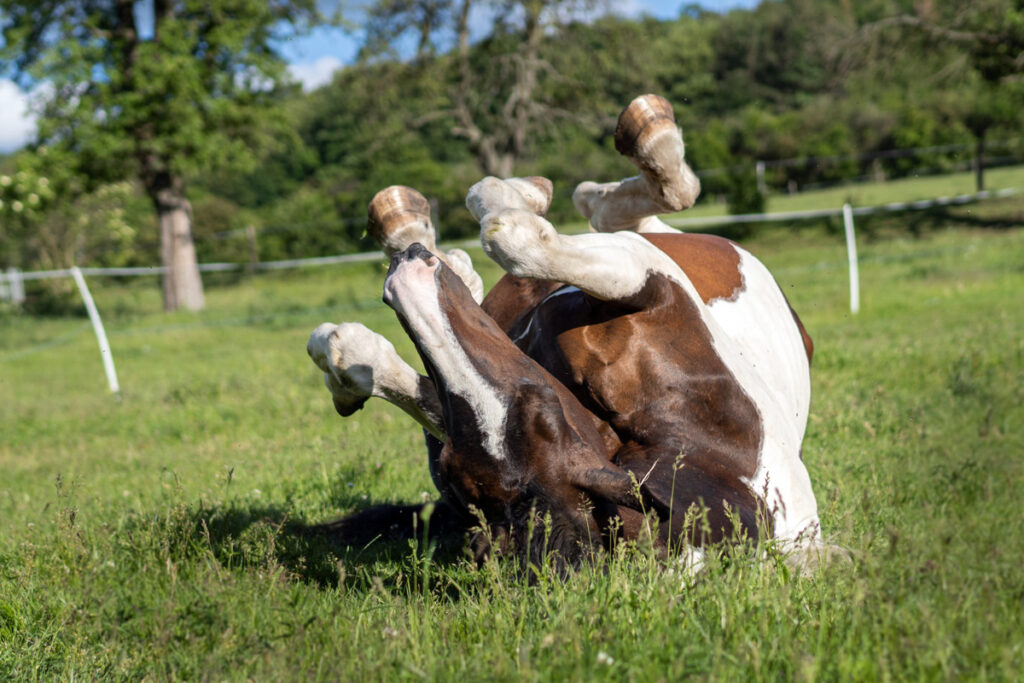 VÁLENÍ: RADOST, PÉČE NEBO VAROVÁNÍ?