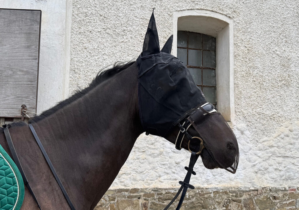 HEADSHAKING – PRAKTICKÉ TIPY K ZVLÁDNUTÍ