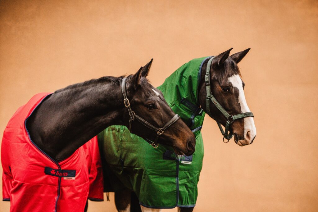 DEKOVÁNÍ: NUTNOST, NEBO MÓDNÍ ROZMAŘILOST?