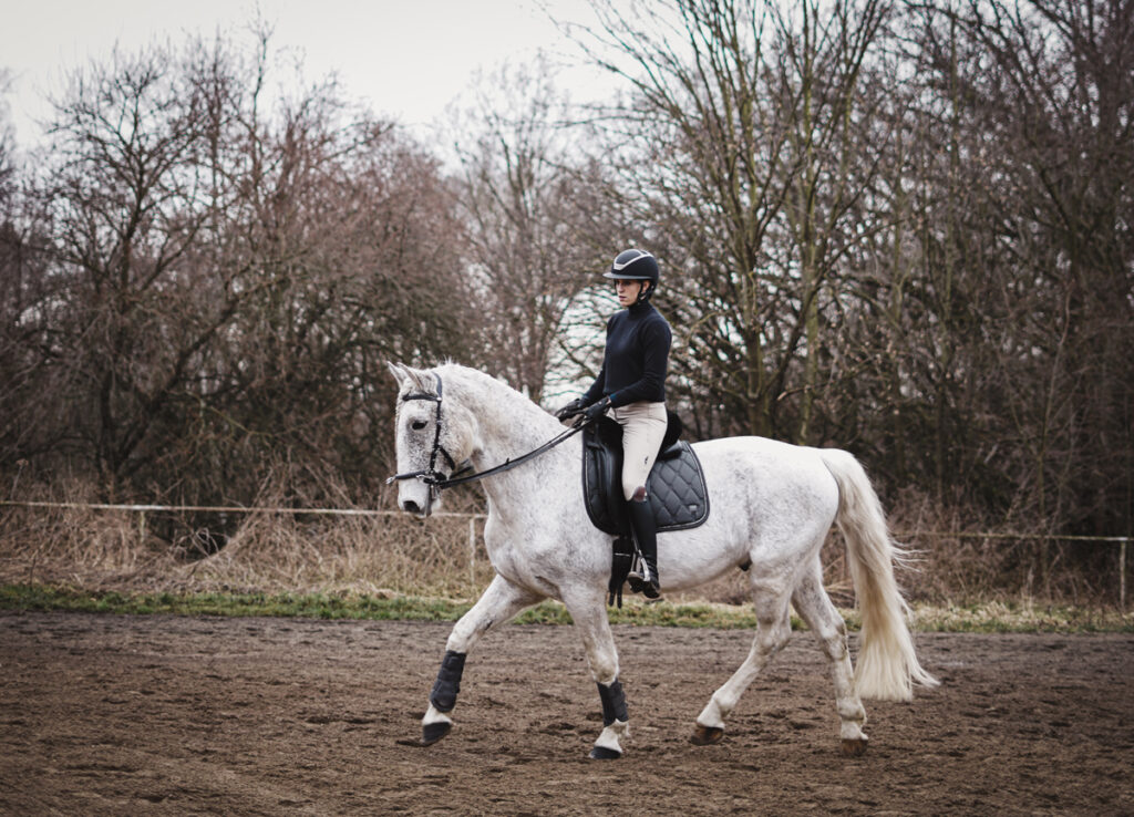 OTĚŽE JAKO ROZHOVOR MEZI KONĚM A JEZDCEM