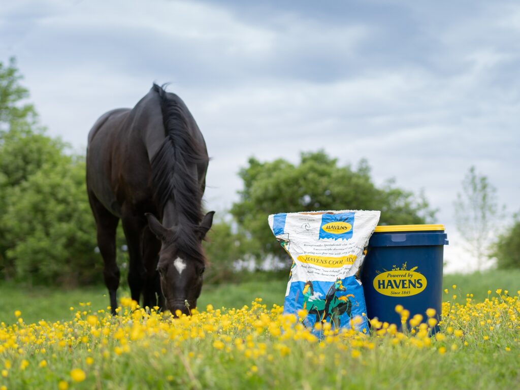 JAK JE TO VLASTNĚ S TÍM ŠKROBEM?