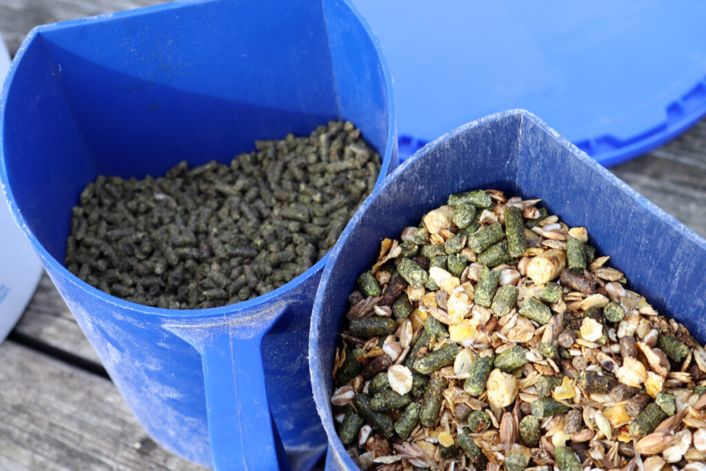 METABOLICKÉ PORUCHY U KONÍ: PRAKTICKÉ TIPY KE KRMENÍ