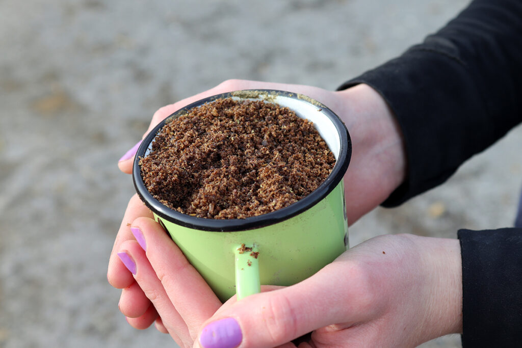 LNĚNÉ SEMÍNKO – TAJEMSTVÍ ZDRAVÉHO TRÁVENÍ KONÍ