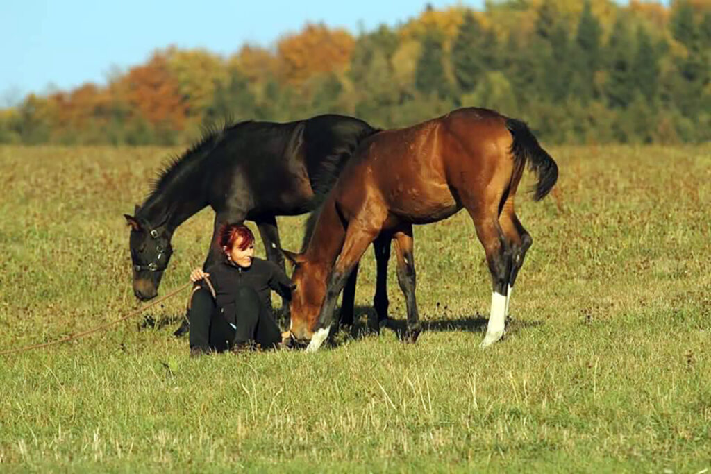 OSLOVILA MĚ KOMBINACE MAGNETOTERAPIE A SOLNÉ TERAPIE