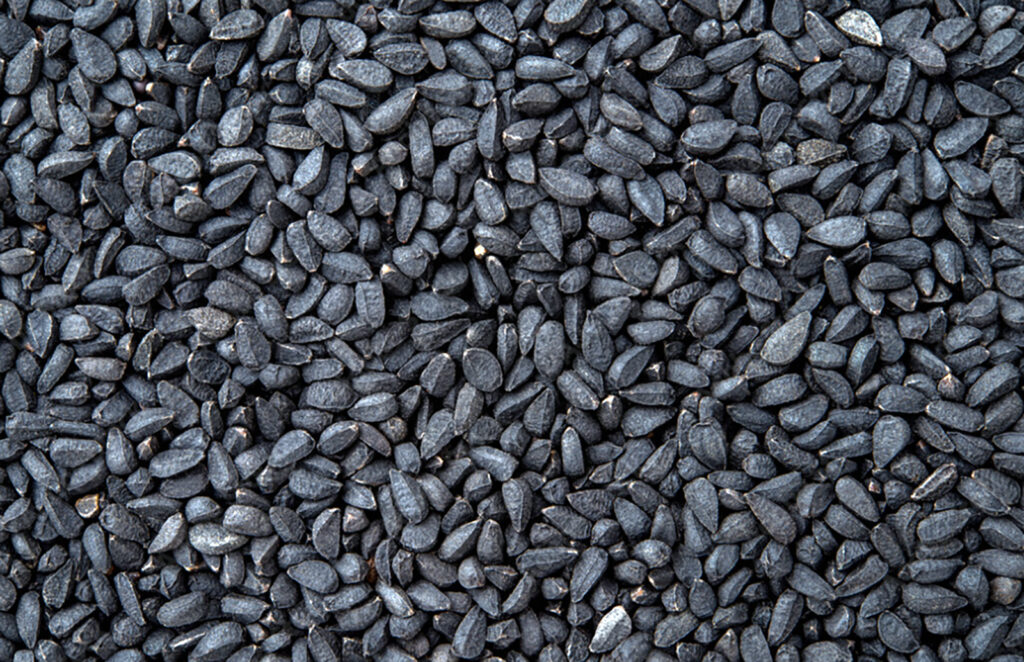 PREVENCE JARNÍHO SCHVÁCENÍ KOPYT A PODPORA TRÁVENÍ POMOCÍ ČERNÉHO KMÍNU